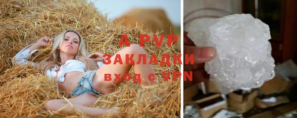 тгк Белокуриха