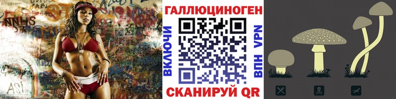 ссылка на мегу рабочий сайт  что такое   Верхняя Пышма  Псилоцибиновые грибы мицелий 